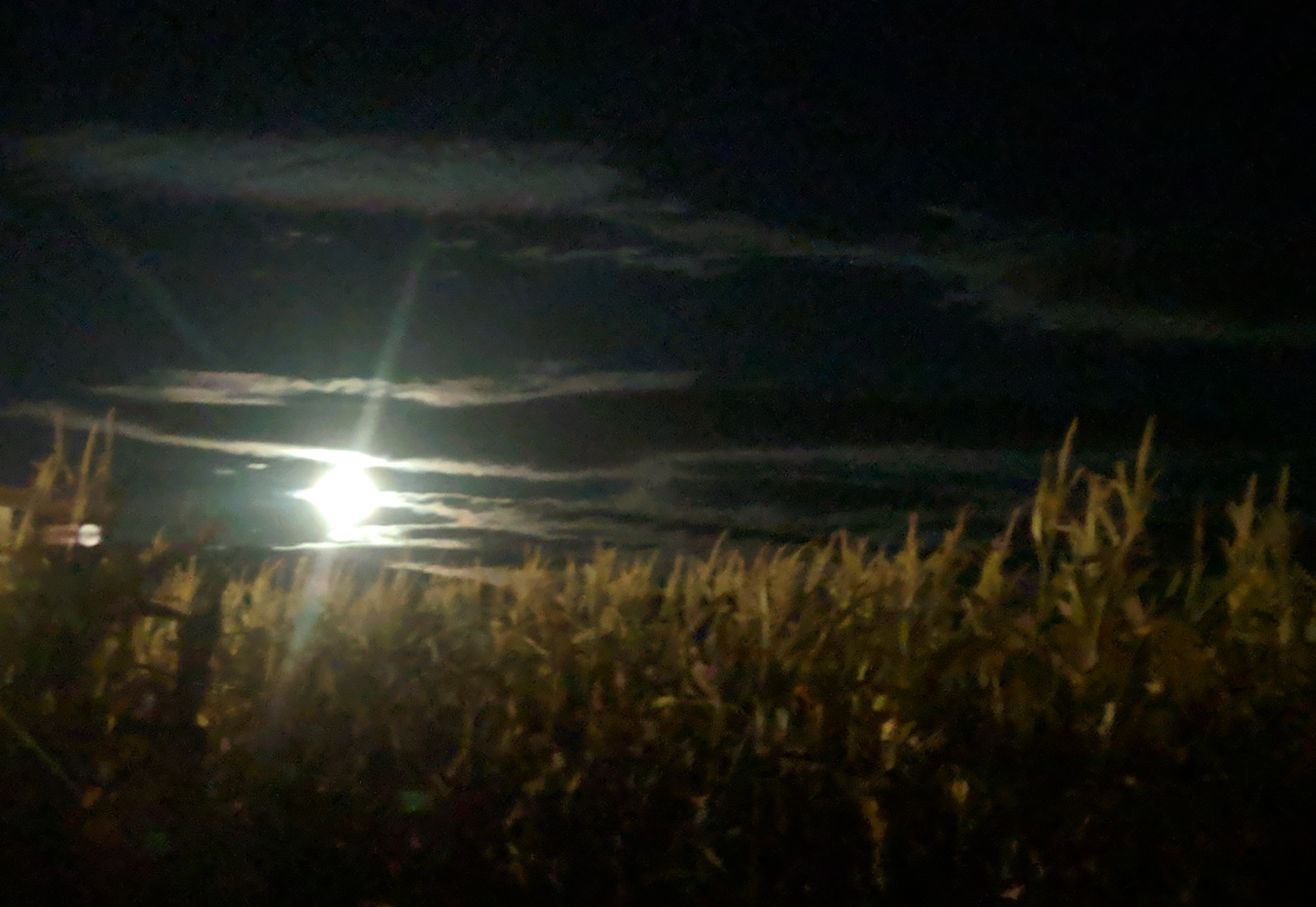 Full Moon over Corn Maze.jpg