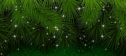 upload_2018-12-8_7-27-39.webp