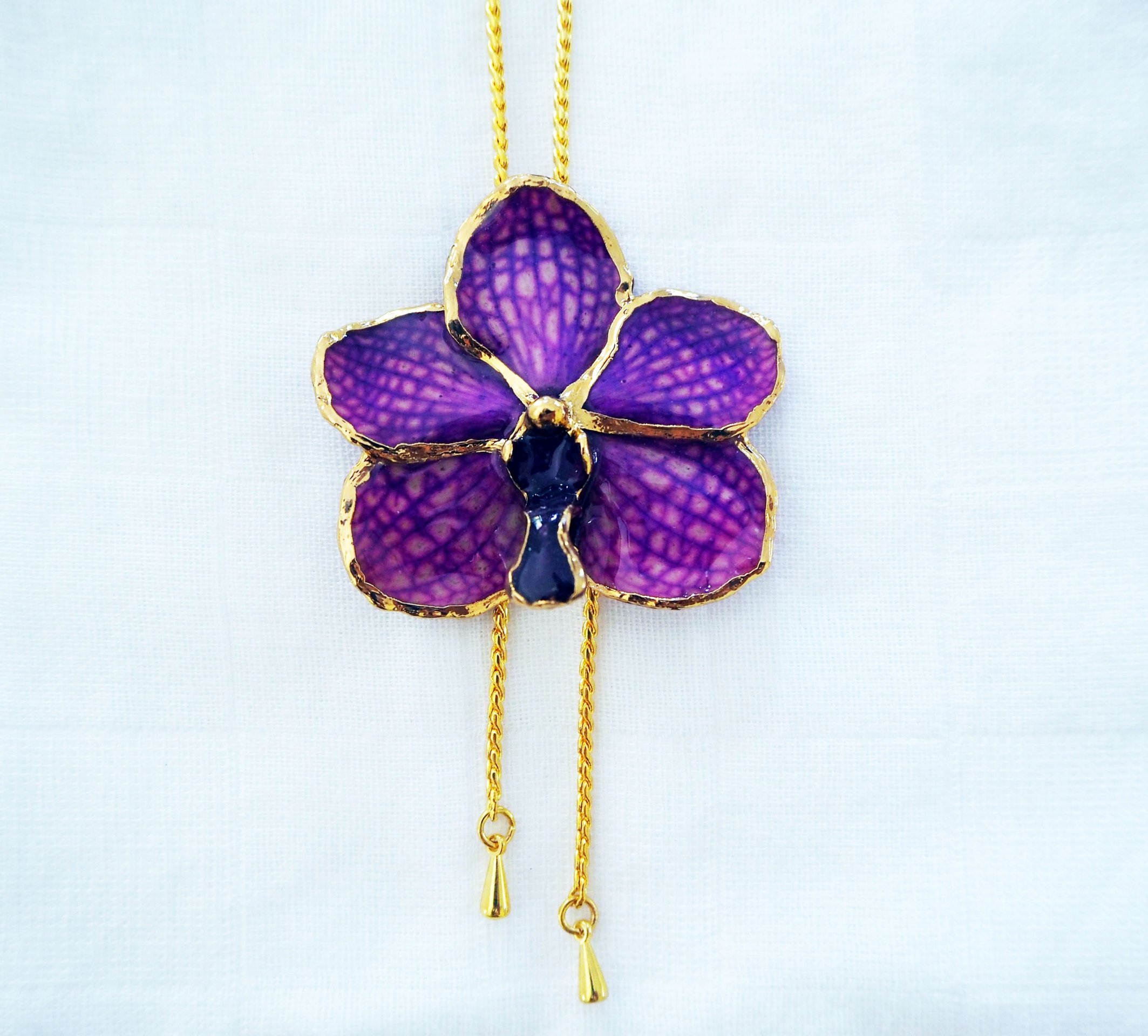 orchidee-ascocenda-tendance-violet.jpg