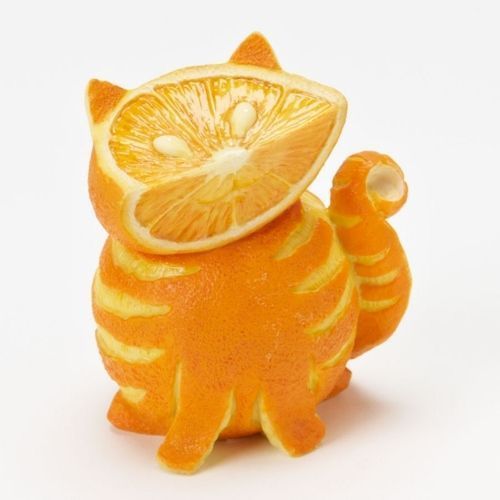 Orange-Fruit-orange-34512932-500-500.jpg