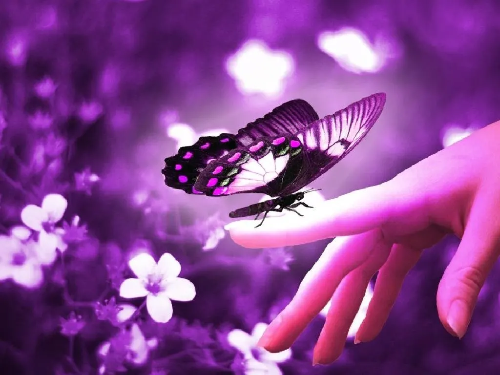 Purple-Butterfly-on-Hand5.webp