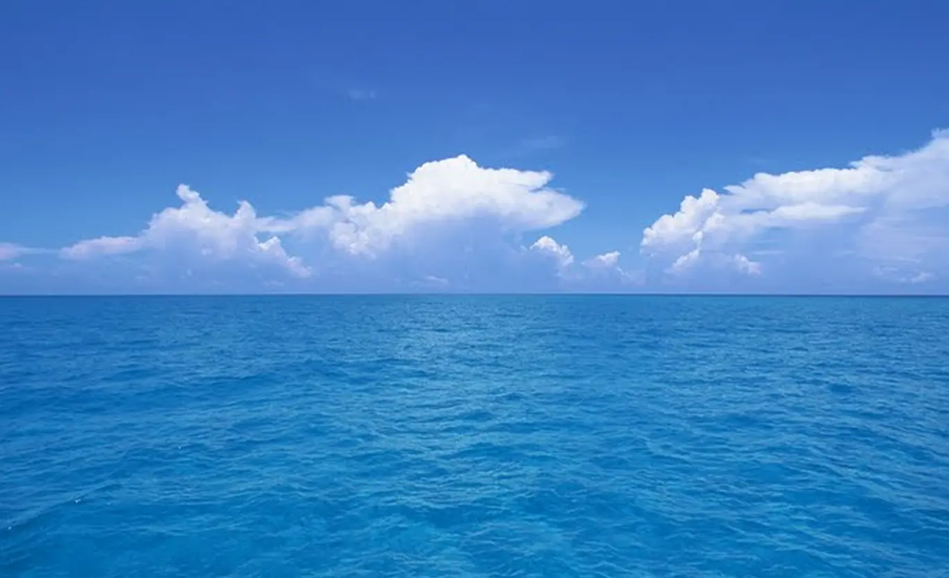 1DC93D76-F042-485B-A9CE-CEEAA51ABAEA.webp