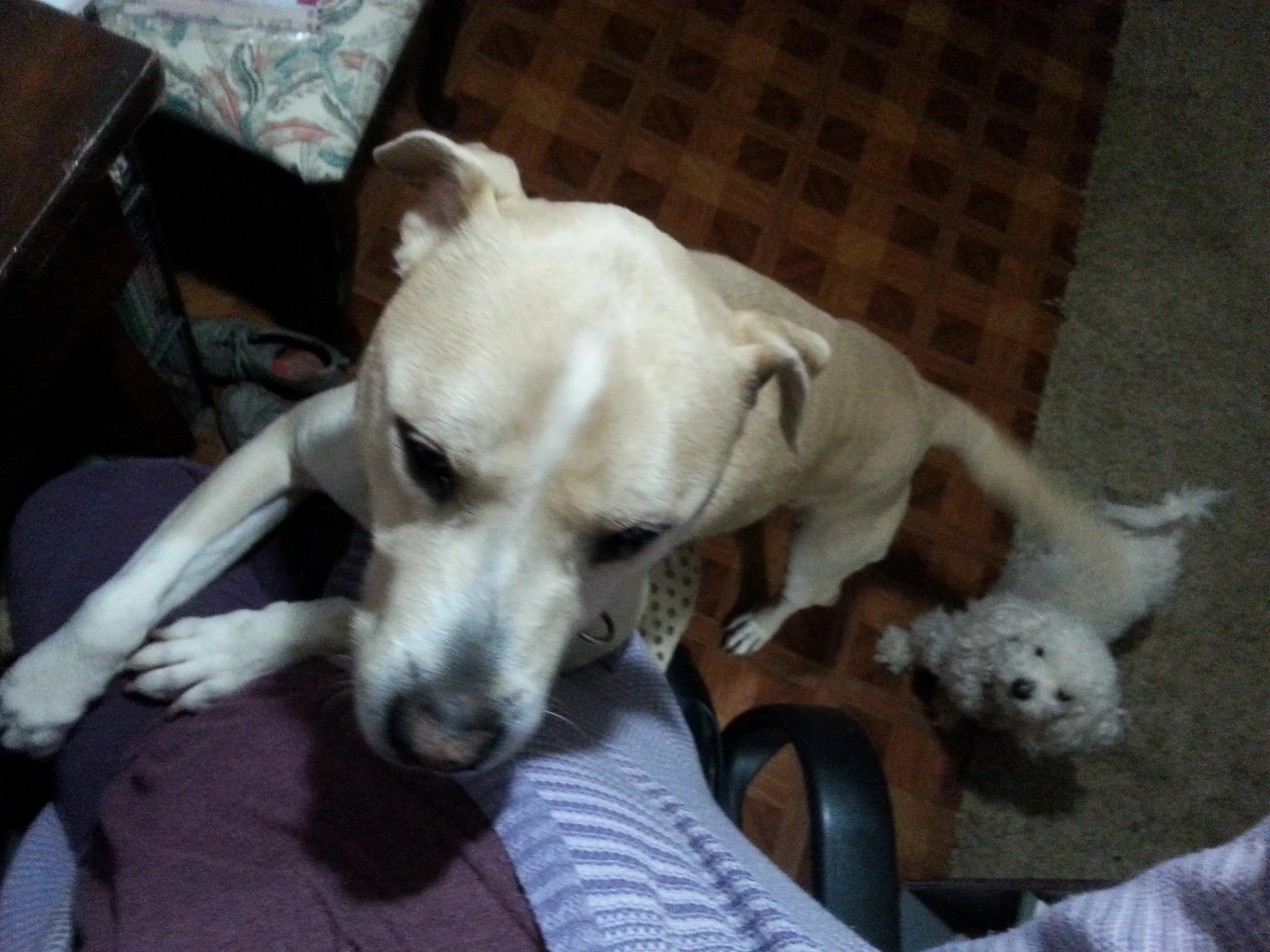 20190111_224446.webp