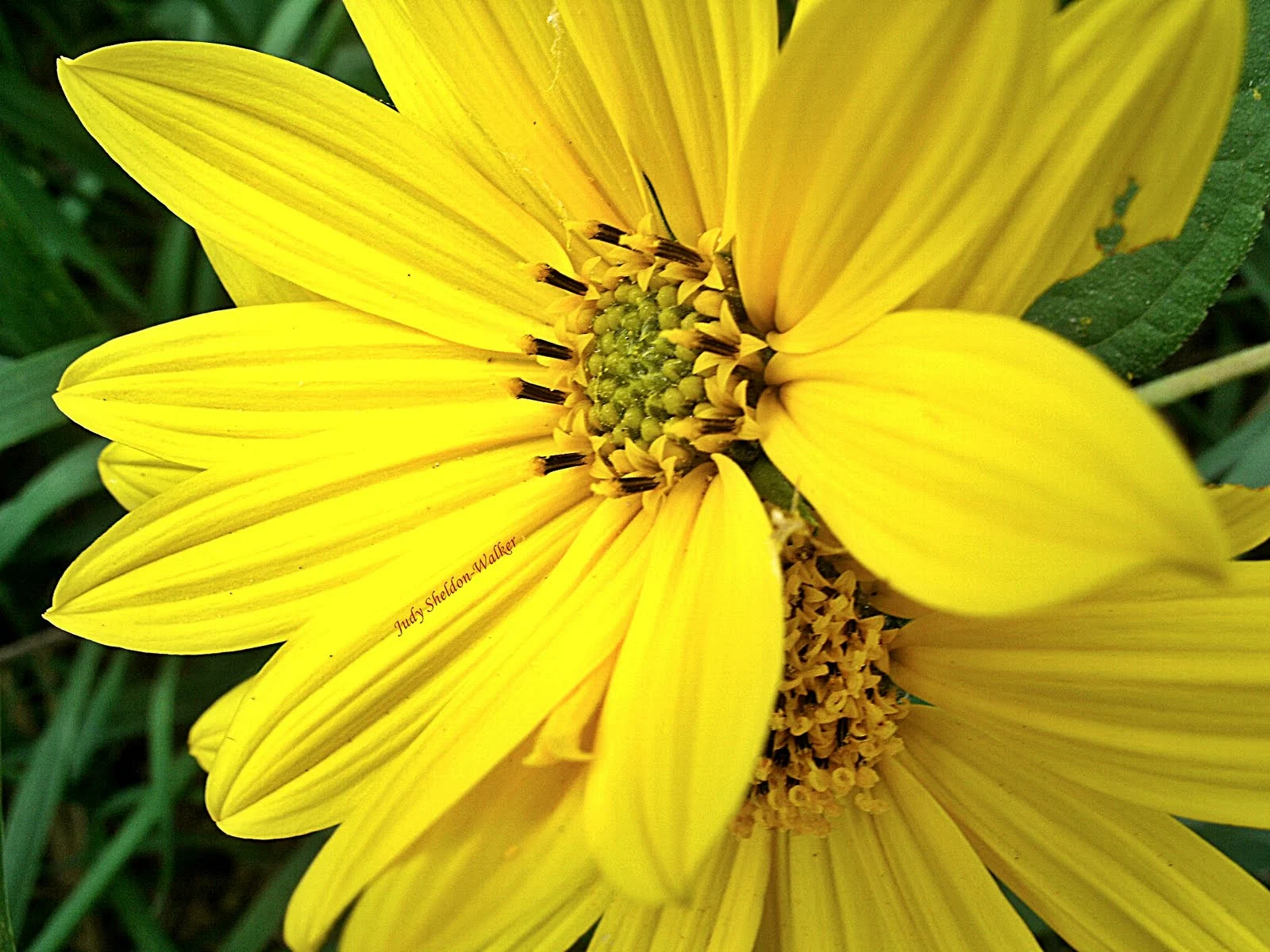 6830F182-9BB3-4574-BC5A-74FD9EC8F065.webp