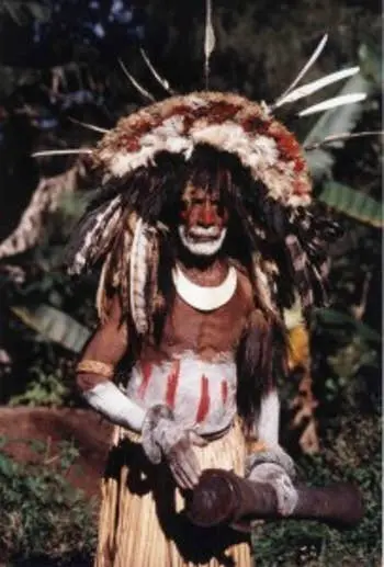 witch-doctor-203x300.webp