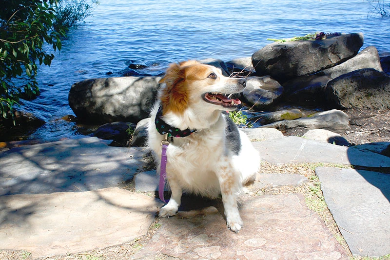 Lakeside.webp