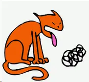 upload_2019-2-9_17-46-56.webp