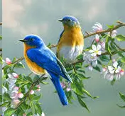 upload_2019-2-15_7-16-53.webp