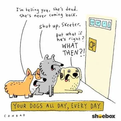 dogs.webp