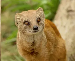 upload_2019-2-19_19-21-26.webp