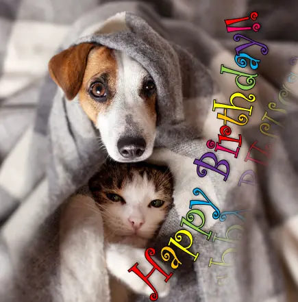 Screenshot (567).webp