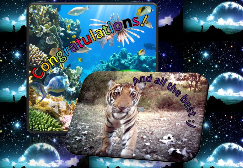 Screenshot (584).webp
