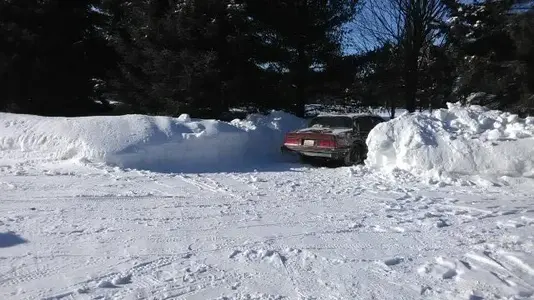 SnowCeleb2.webp