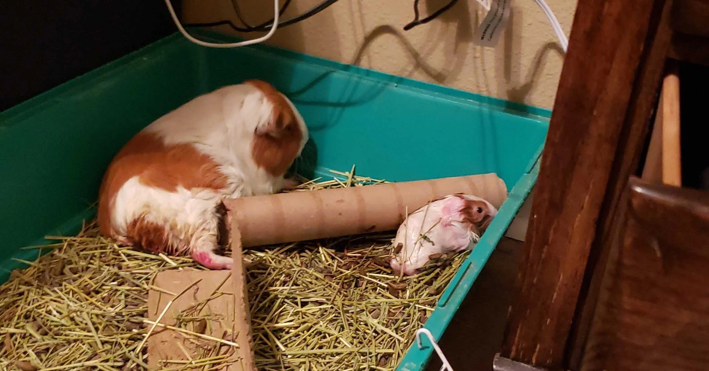 20190328_194901.webp
