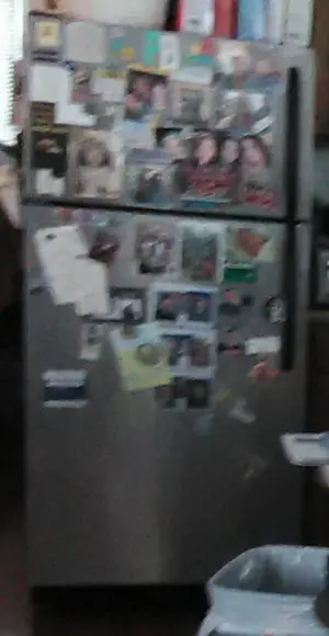 Magnets.webp