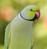 upload_2019-5-7_7-39-43.webp