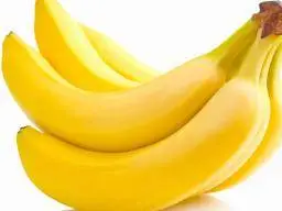 5EAAE0E0-C15D-4E70-917D-43A5B8B91DA6.webp