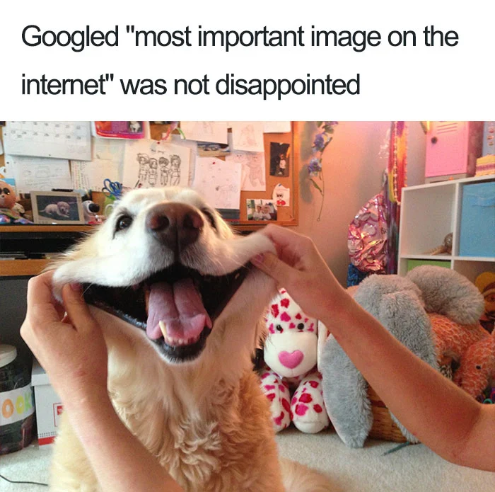 ZYlEOry.webp