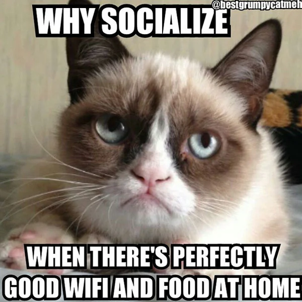 grumpy-cat-meme-14.webp