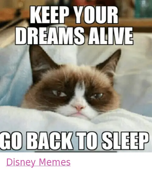 anxietycat2.webp