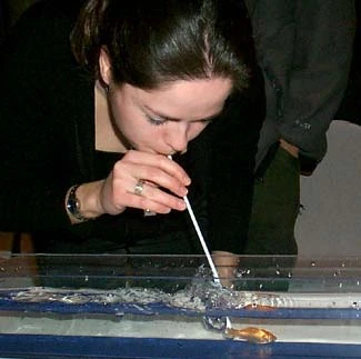 woman_goldfish.webp