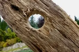 hole.webp
