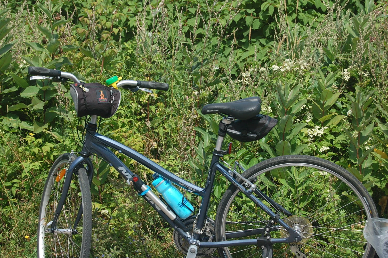 Bike in bush 8-9-19_00001.webp