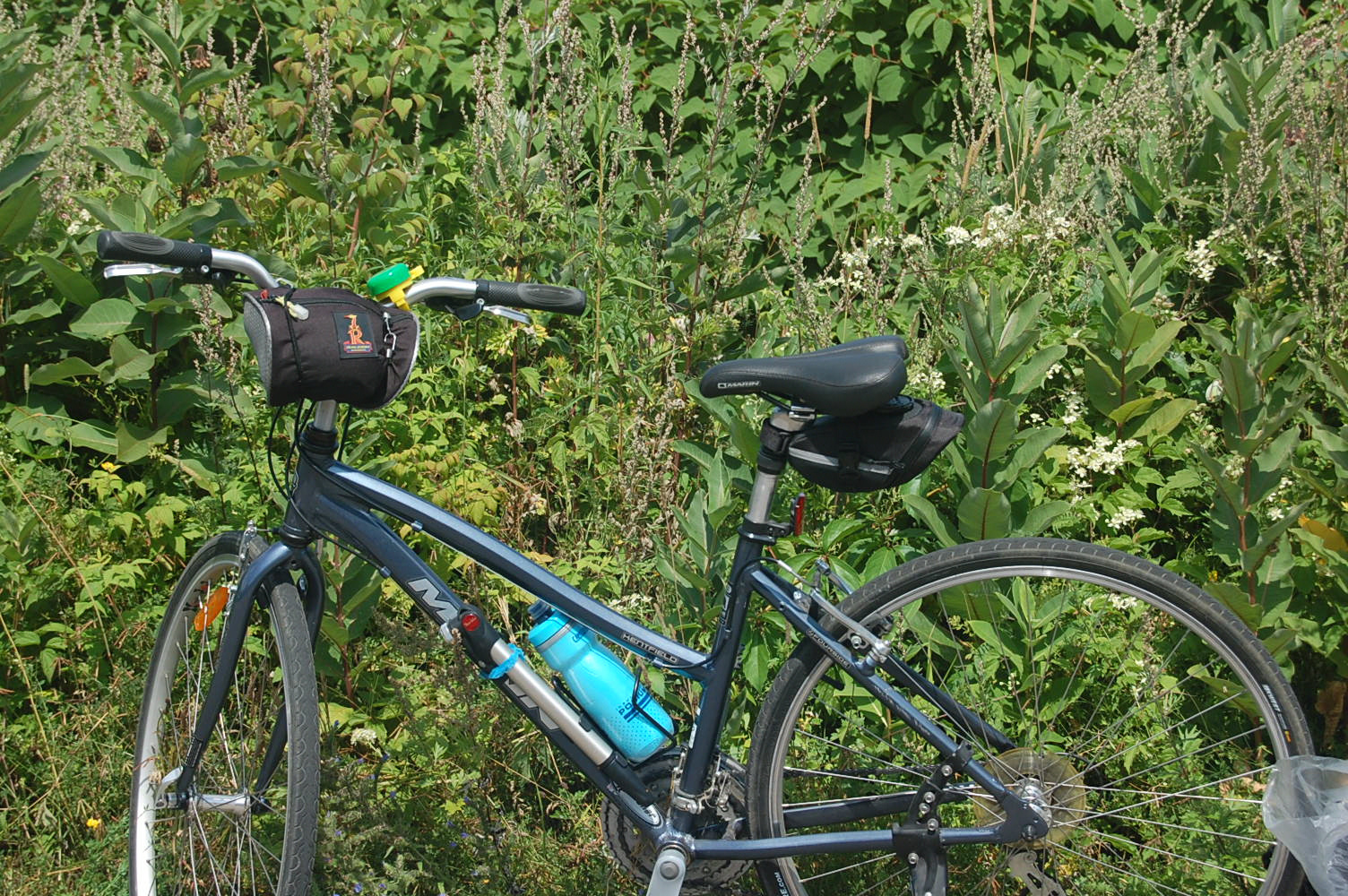 Bike in bush 8-9-19_00001.jpg