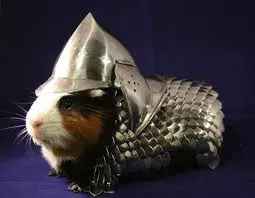 guinea.webp