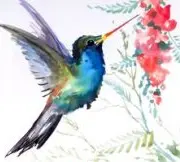 upload_2019-9-12_8-3-51.webp