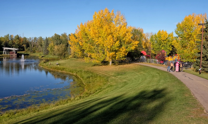 Bower Pond 01.webp