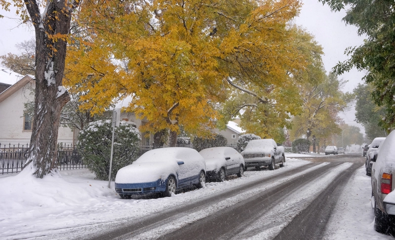 Snow 01.webp