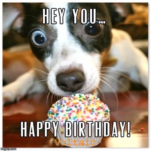 8F780728-0541-4596-9FCE-B84BC3DF2CF0.webp