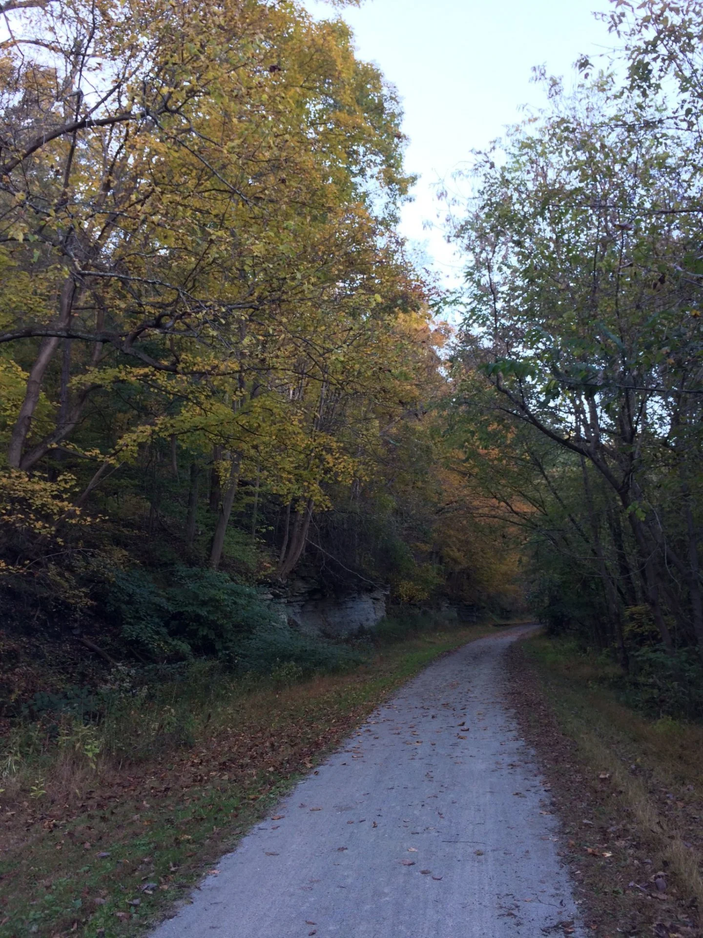 2019-10-20_16-51-33_305.webp