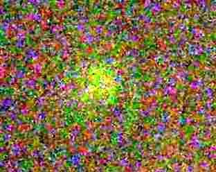 !cid_X_MA1_1181615970@aol.webp