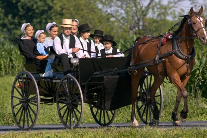 amish-family-horse-buggy.jpg