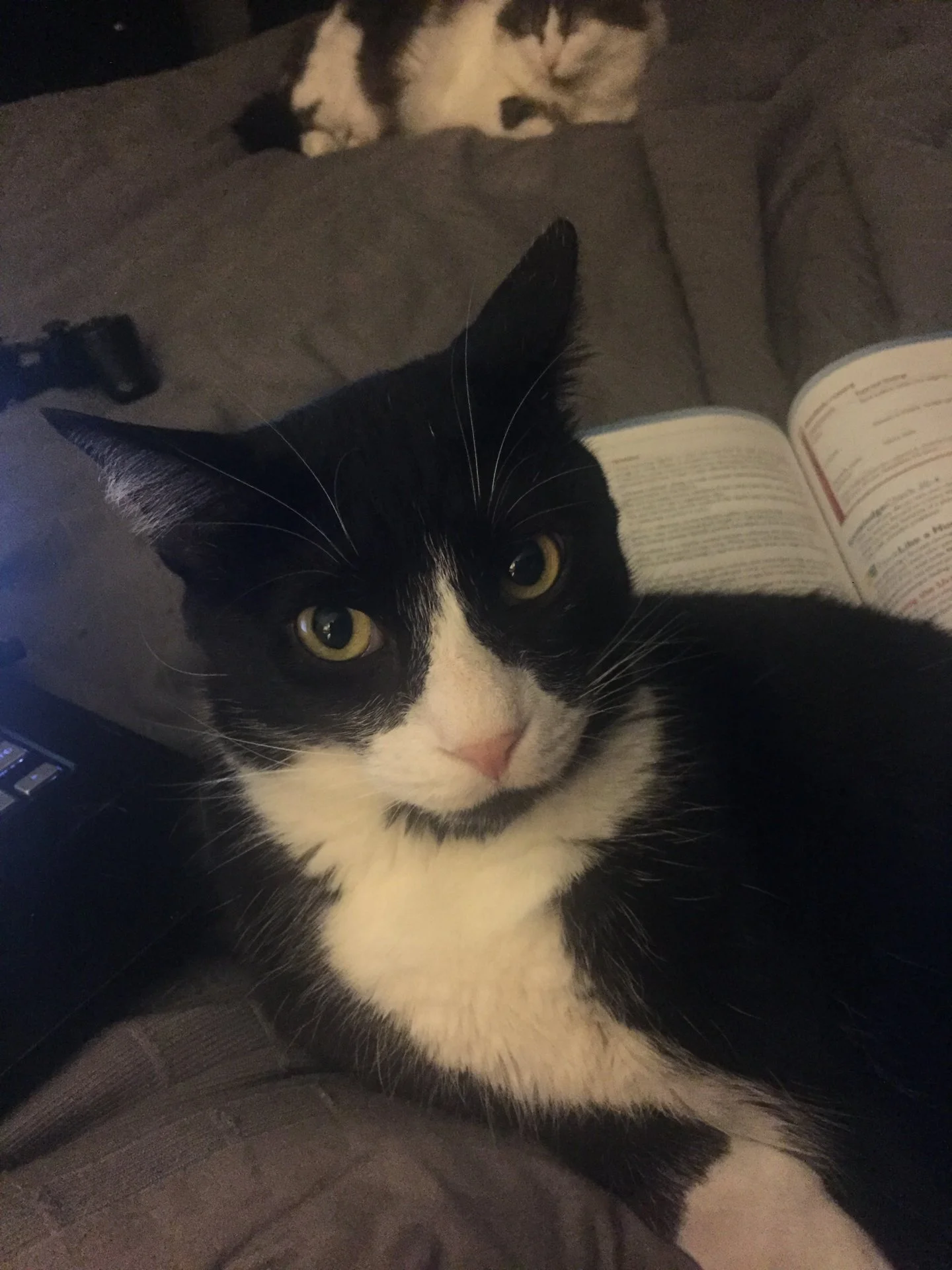 upload_2019-11-16_0-7-15.webp