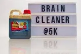 brain.webp