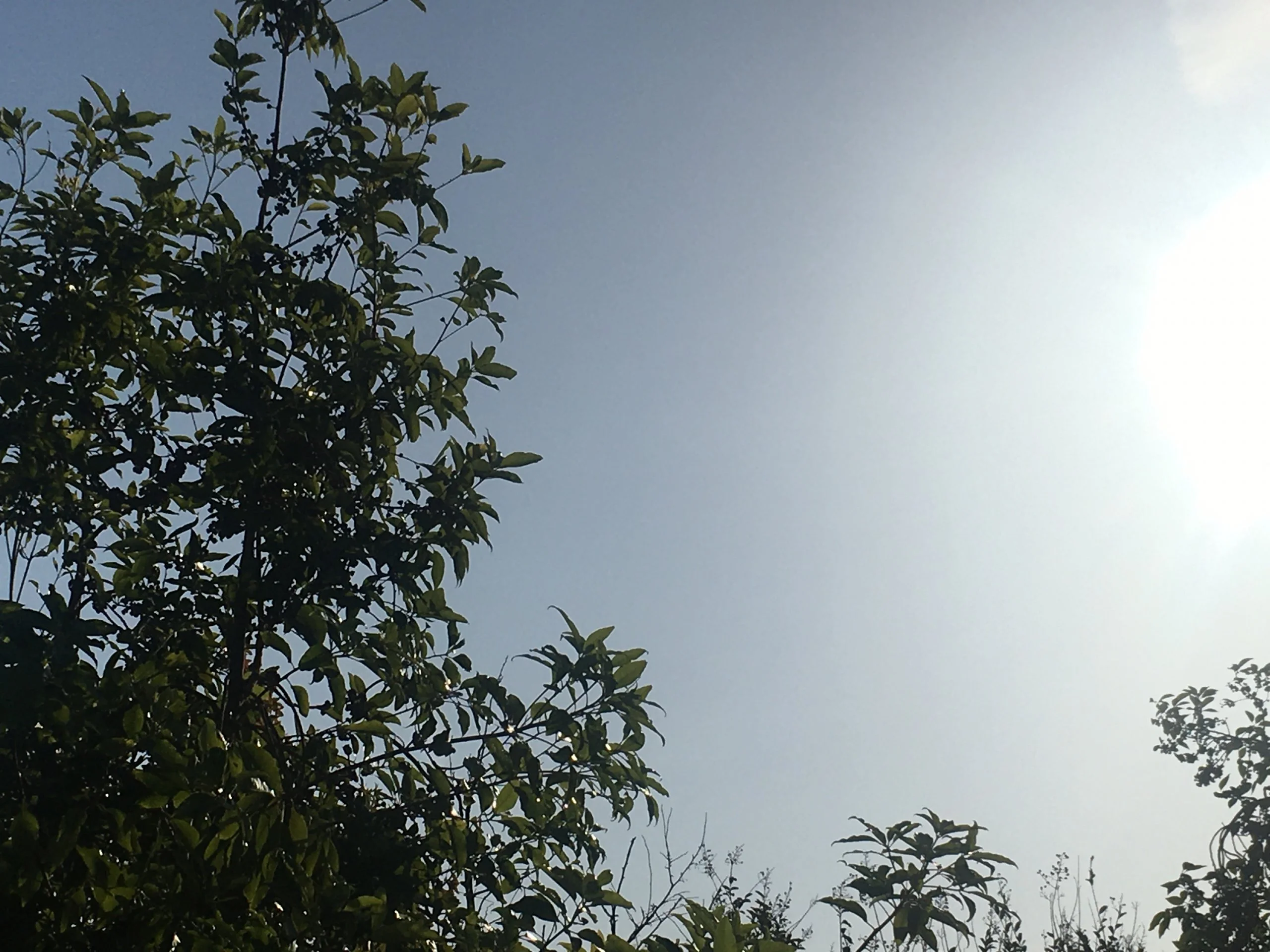 A9594589-41E9-49C3-A551-59F09256CA5F.webp