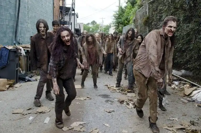 zom.webp