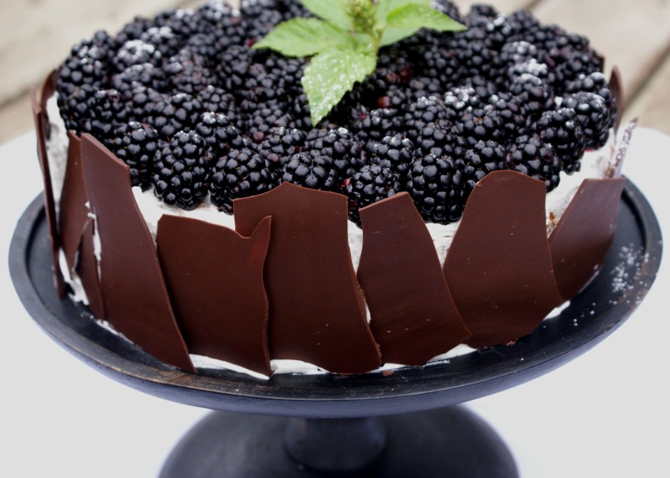 blackberry chocolate mousse cake.jpg