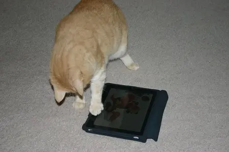 Lucy painting picture #1.webp