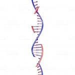 Helix.webp