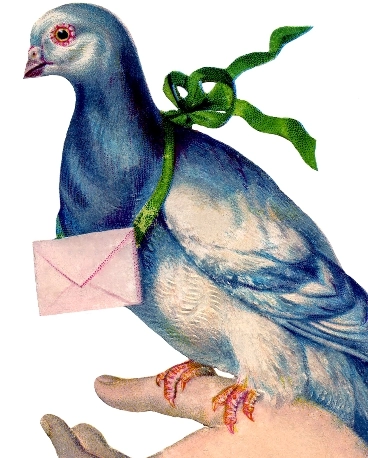 Carrier-Pigeon-GraphicsFairy-thumb.webp
