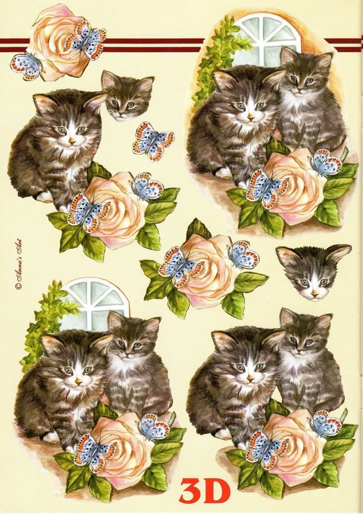 675AF7C7-3DFF-4DA5-AEF7-1C460DE36833.webp