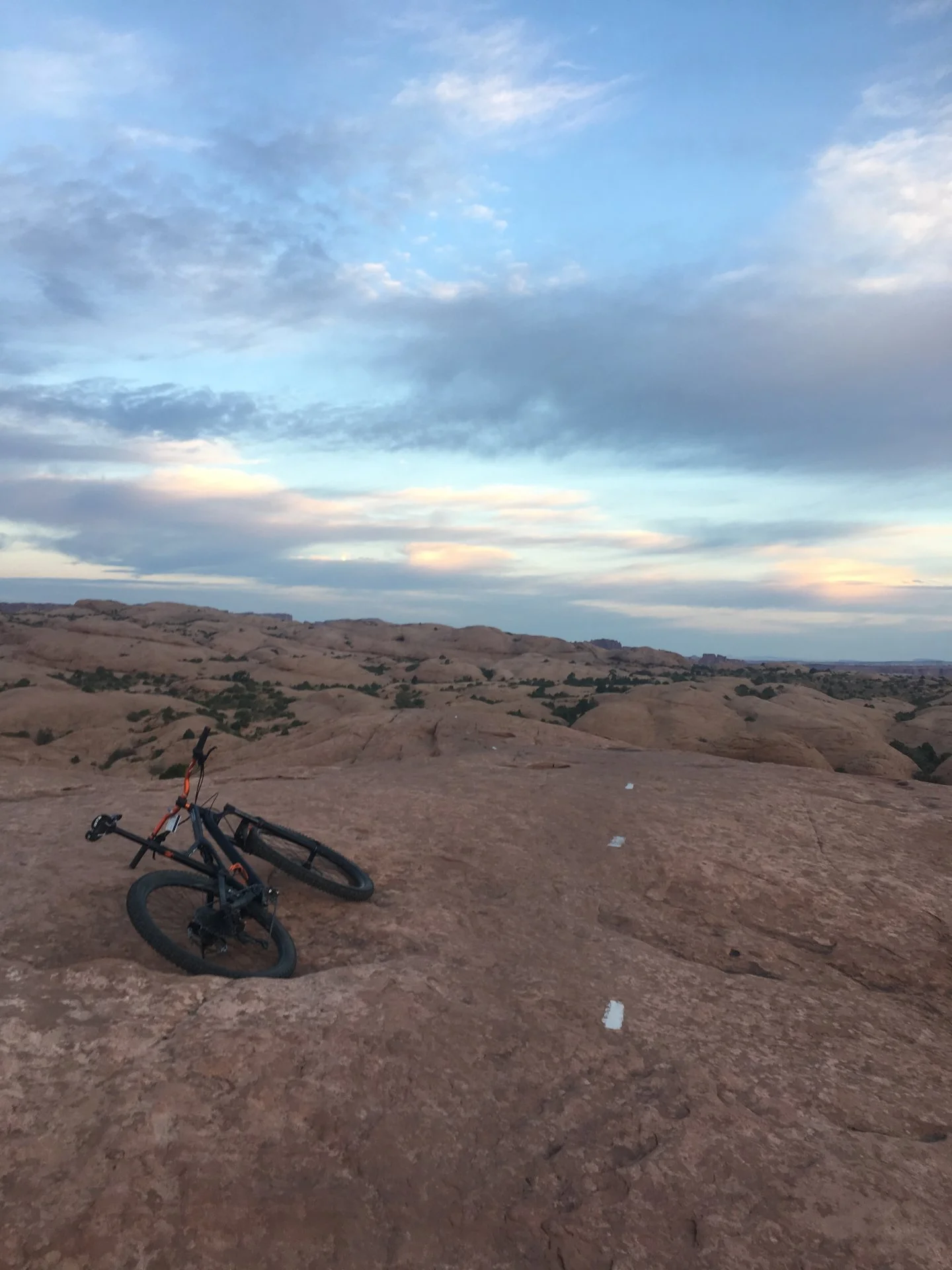 6C6D3FCF-BE70-4362-B26B-A09317BAB556.webp