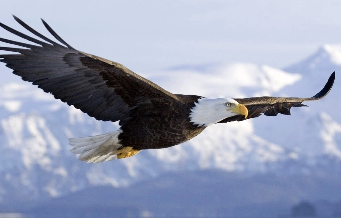 05440D0F-F51A-4637-97C1-4F1FA9F2AD14.webp