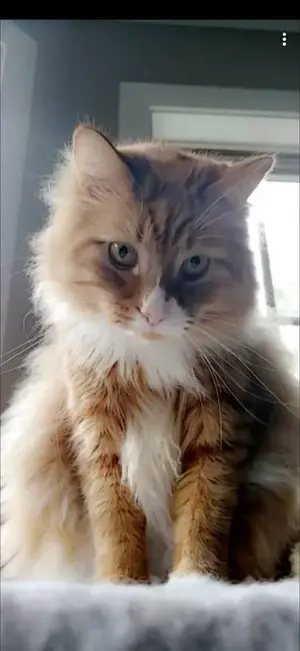 Oliver portrait.webp