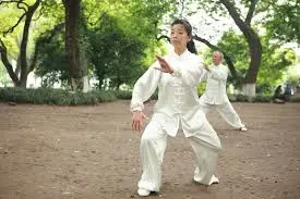 taichi.webp