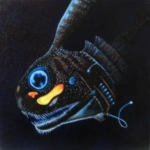 dragonfish jmh.webp